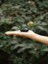 Shaligram Stone