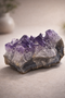 Amethyst - Cluster 125B