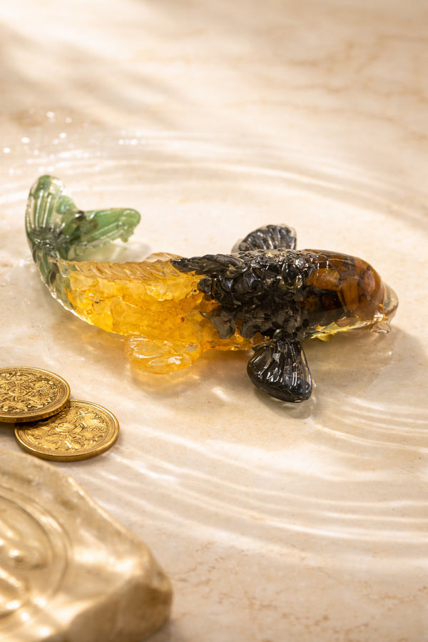 Money Magnet Fish