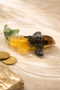 Money Magnet Fish