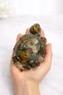 crystal tortoise for wealth