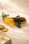 money magnet fish