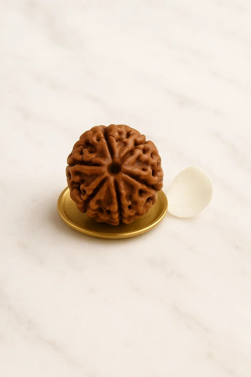 panchmukhi rudraksha