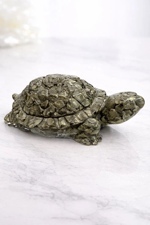 pyrite tortoise