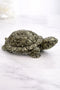 pyrite tortoise