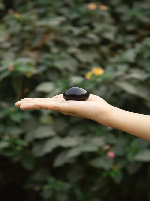 shiva shaligram stone
