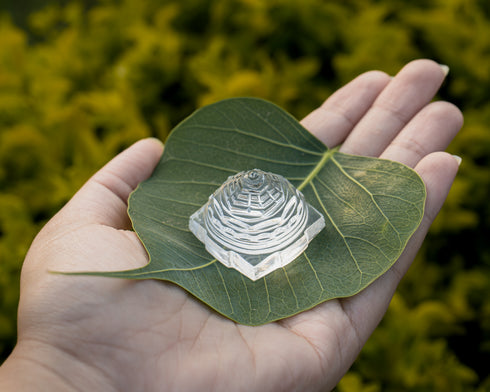 Shree Yantra (Lakshmi Yantra)