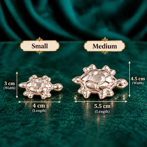 silver tortoise size
