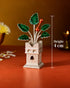 silver tulsi plant size