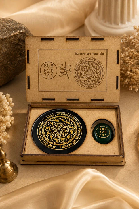 Wealth Protection Vastu Kit