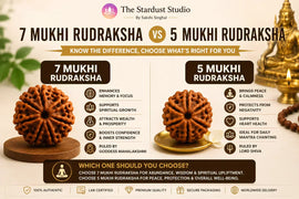 7 mukhi rudraksha vs 5 mukhi rudraksha