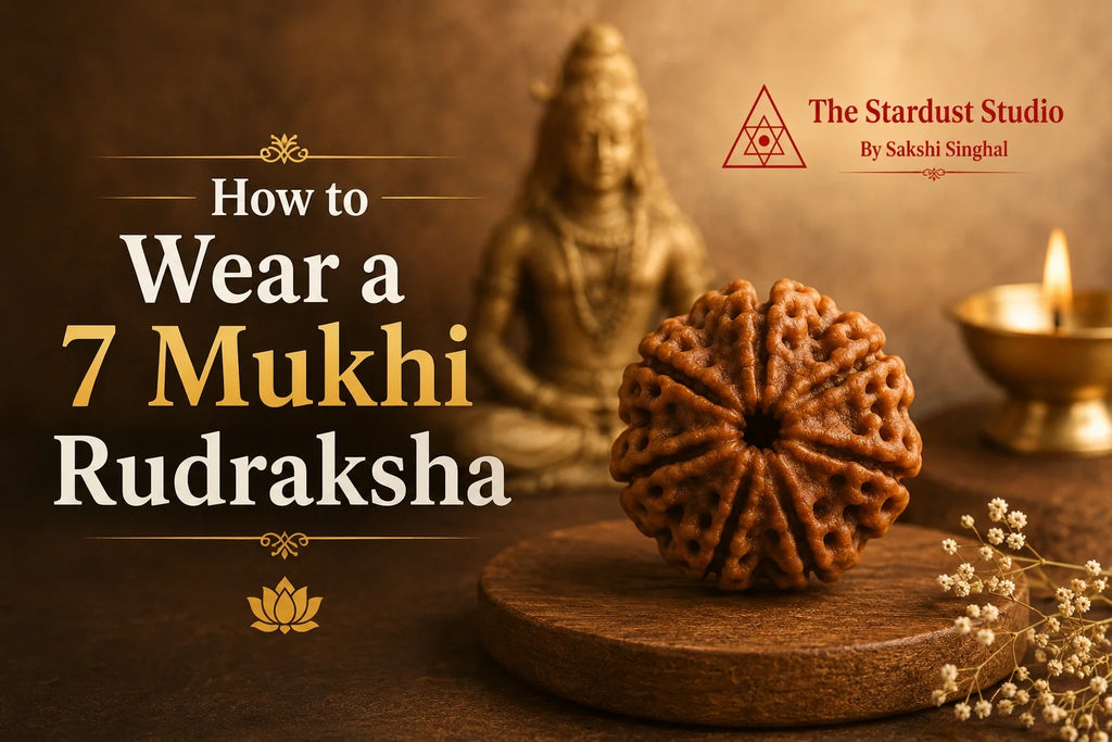 7 mukhi rudraksha