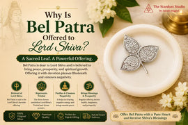 silver bel patra