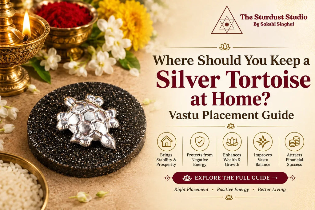 Silver Tortoise 