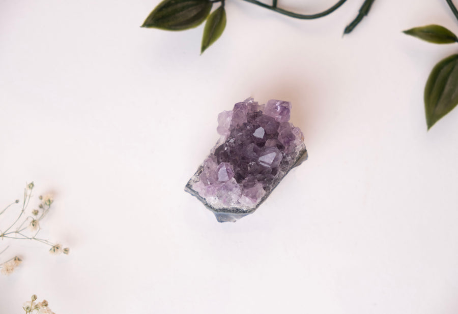 Amethyst - Cluster 170