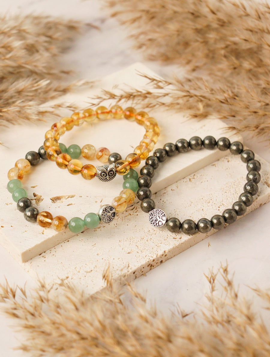 Money Magnet Combo Bracelets