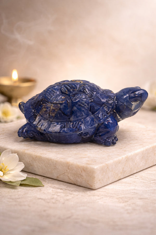 Lapis Lazuli Tortoise