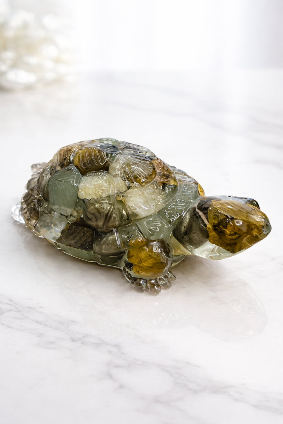 Money Magnet Tortoise