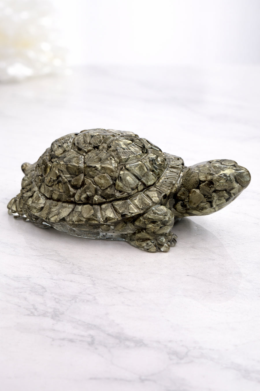 Pyrite Tortoise