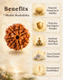 benefits 7 mukhi rudraksha certified