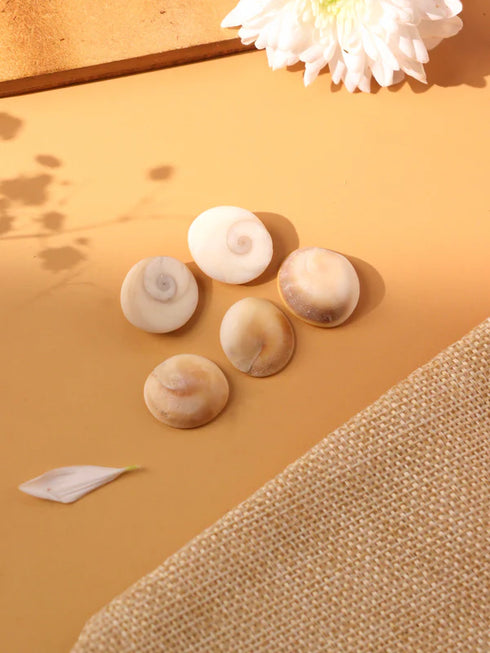 gomti chakra original