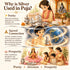 parad shivling benefits
