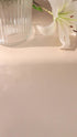 Zodiac Selenite Plate - Big