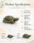 product description_ pyrite tortoise