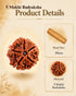 product details 5 mukhi rudraksha