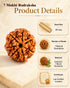 product details 7 mukhi rudraksha