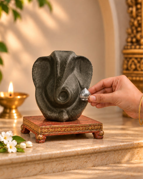 Silver Modak