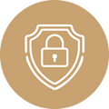 100% Secure Payments