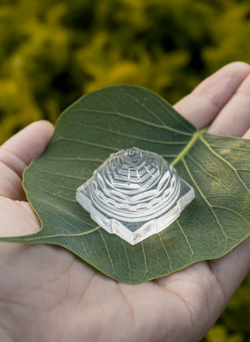 Shree Yantra & Cheque