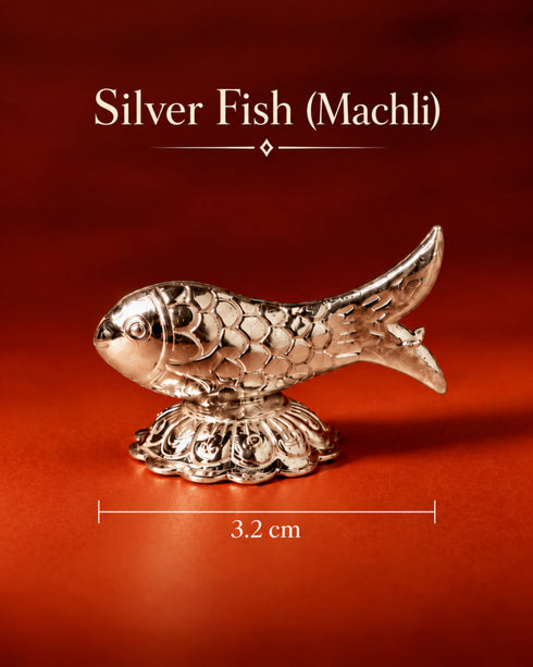 silver fish machli size
