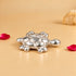 silver tortoise small