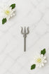 silver trishul price