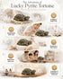 story pyrite tortoise